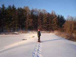 Schoellkopf 2008 823.JPG